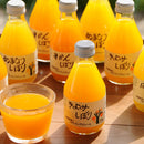 和歌山 伊藤農園 5種の柑橘ジュース セット (温州みかん・きよみ・はっさく・あまなつ・不知火)無添加/100%ストレートジュース【送料無料】